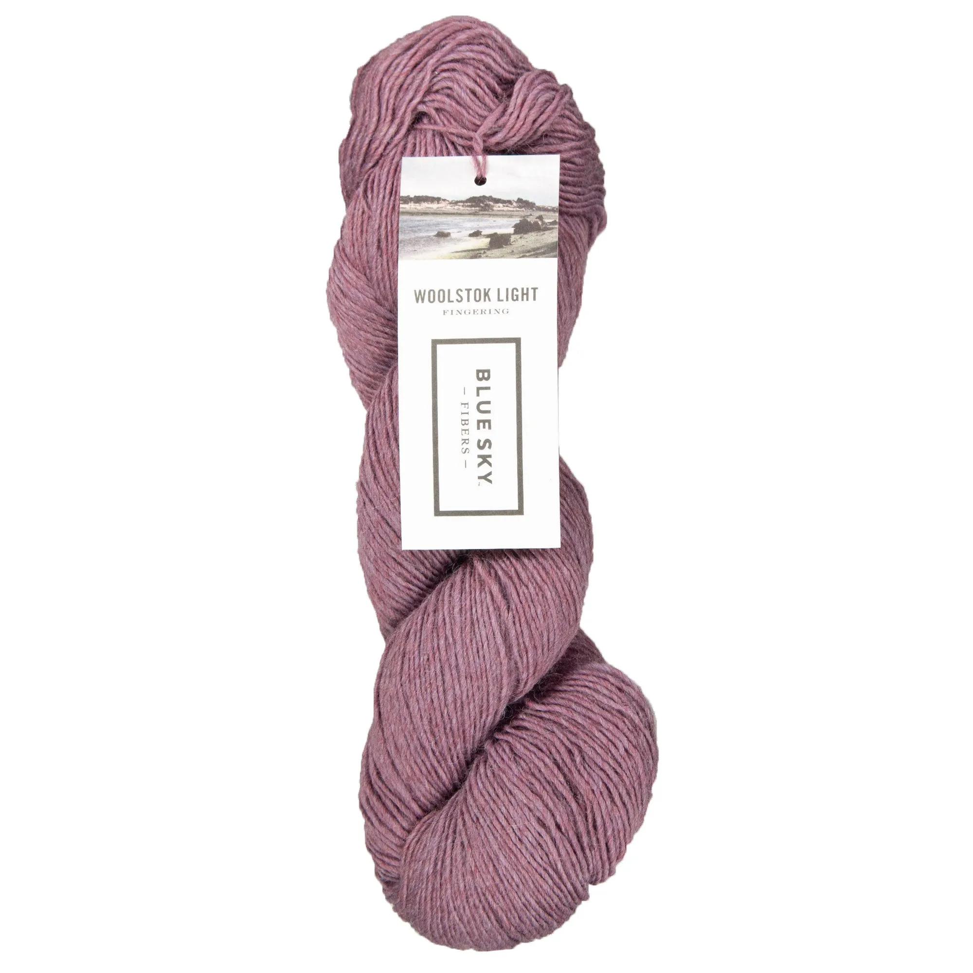 Blue Sky Fibers Woolstok Light Yarn - 2325 Lilac Bloom