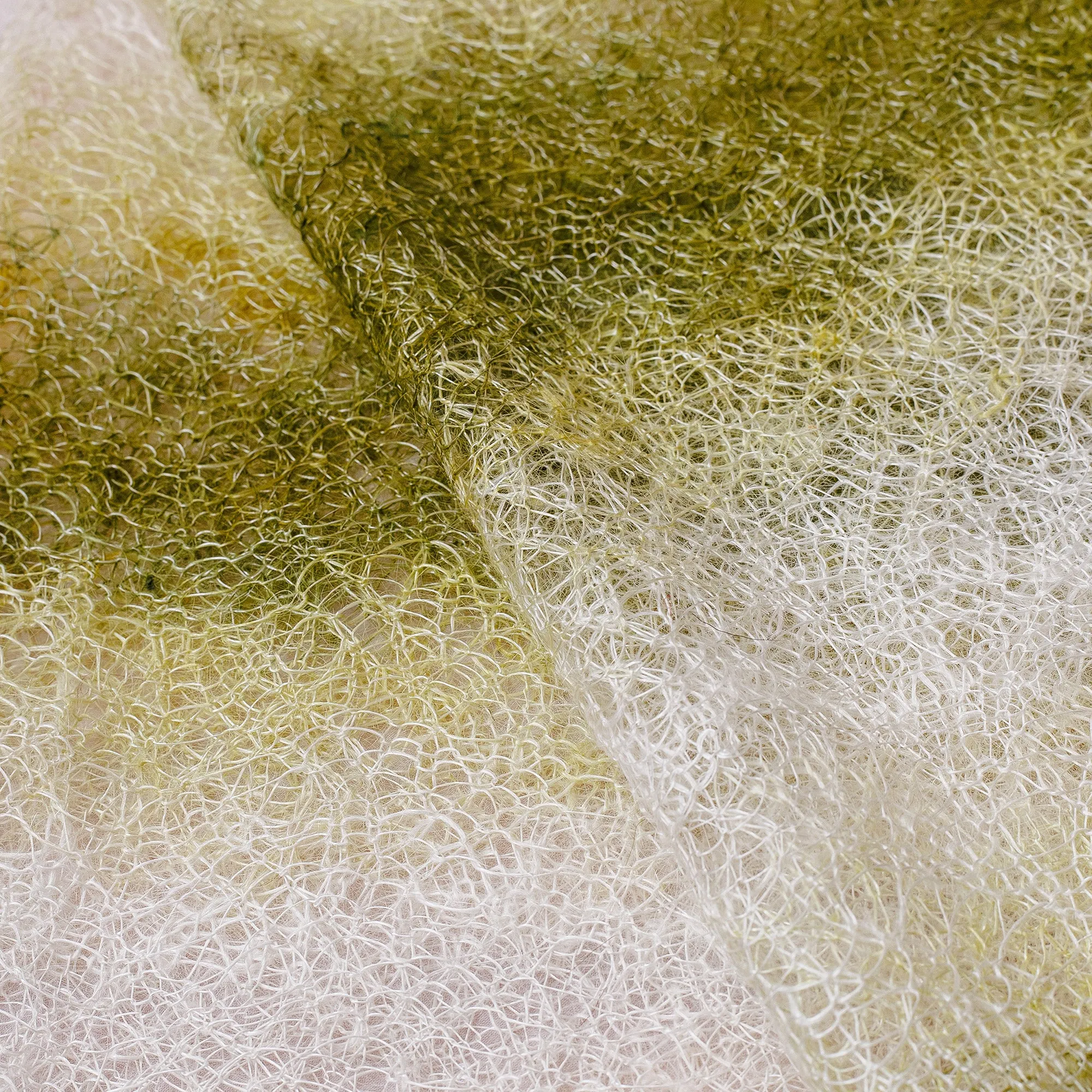 Handwoven Soft 100% Cashmere Wool Scarf in Green and White - Nature's Act | NOVICA