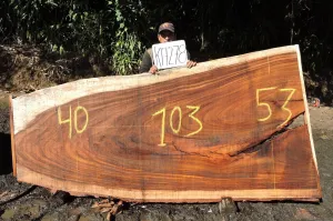 Slab K17278