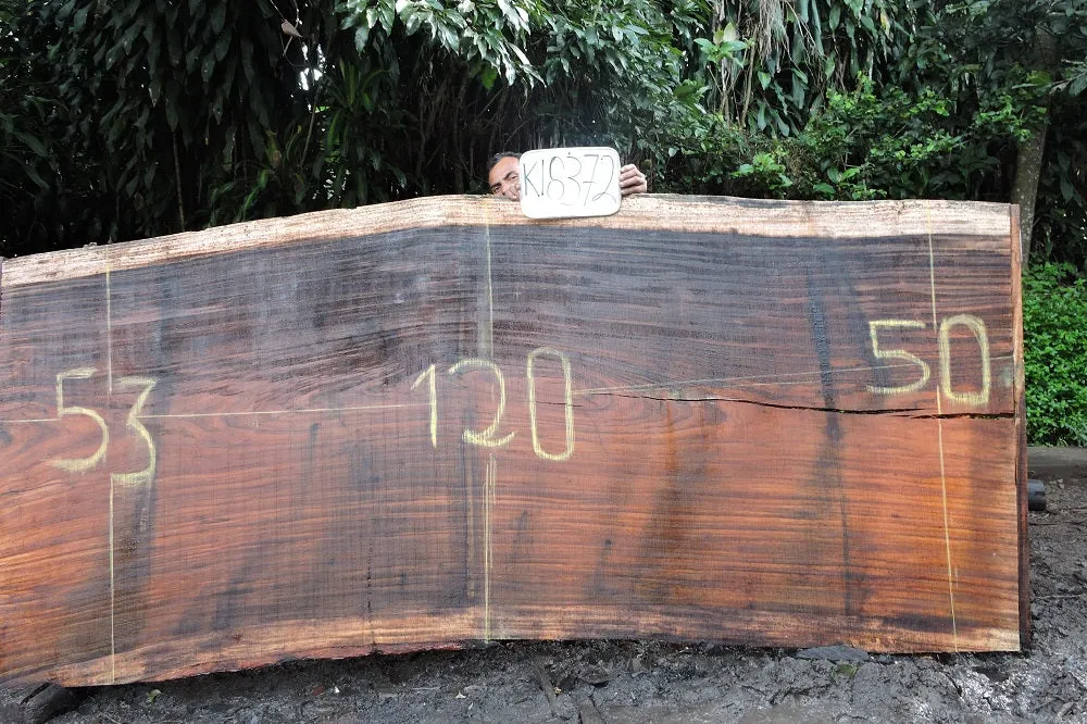 Slab K18372