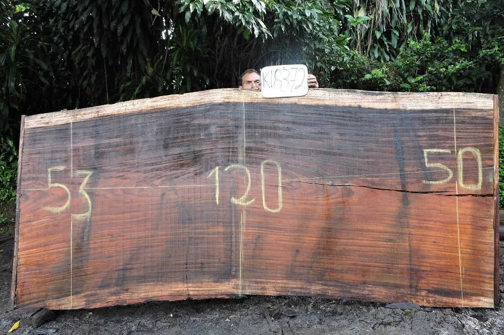 Slab K18372