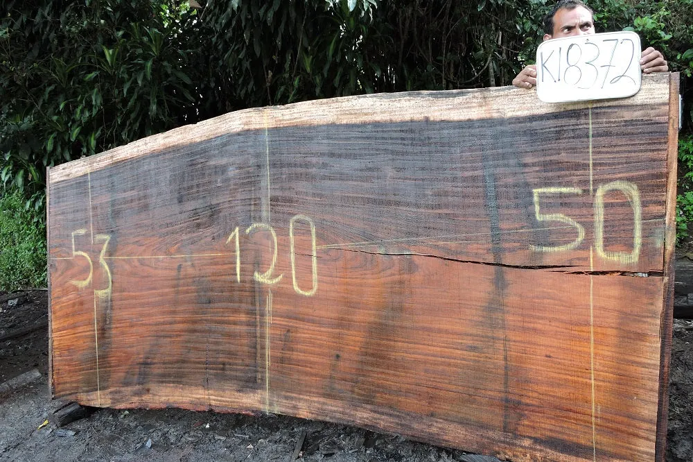 Slab K18372