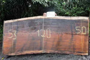 Slab K18372